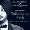  Kalla Kalla Pech - Inderjit Nikku - 320Kbps Poster