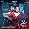  Tere Bina - Samar Mansoon Poster