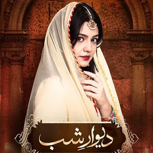 Deewar-e-Shab - Original Soundtrack Song Poster
