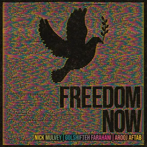  Freedom Now Song Poster